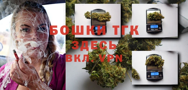 амф Апатиты