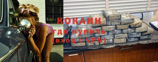 mdpv Снежногорск